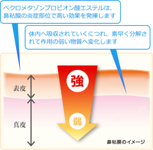 鼻粘膜のイメージ