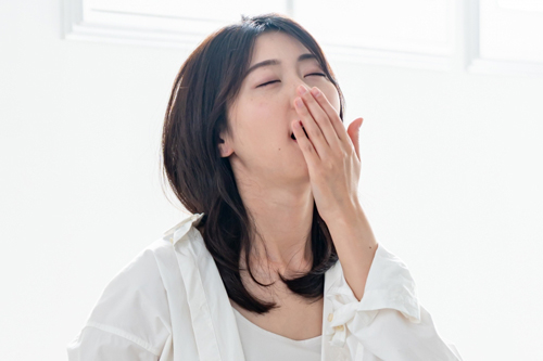 ハウスダストってなに？