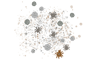 ダニアレルギーのツラい症状、意外な原因も⁉