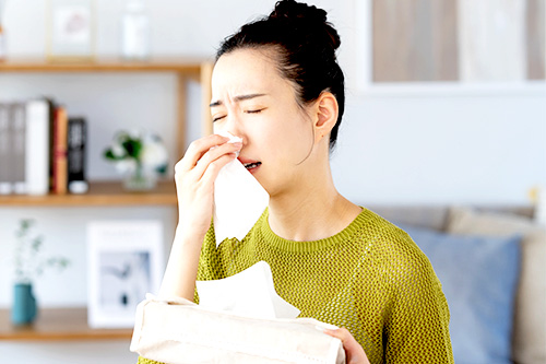 ハウスダストってなに?