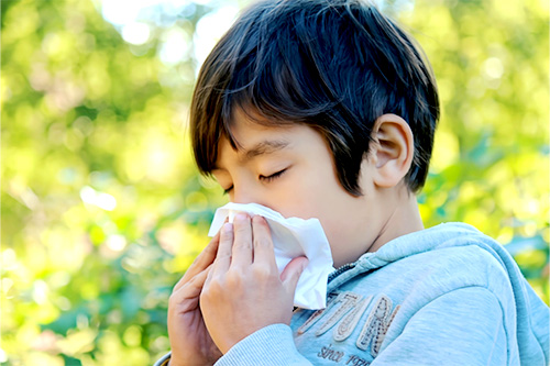 ハウスダストってなに?