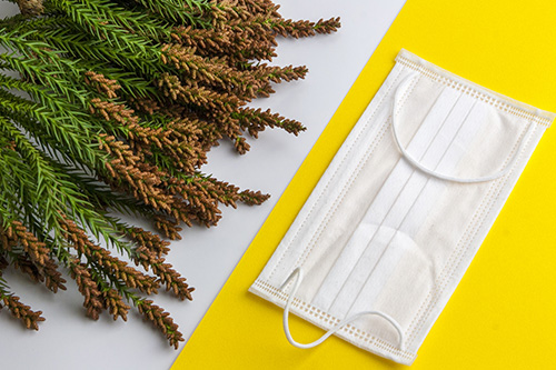 ハウスダストってなに？