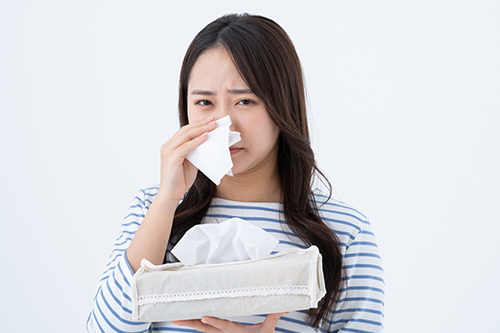 ハウスダストってなに？